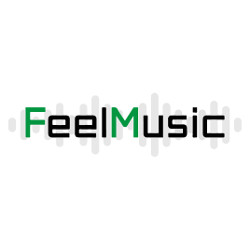 Feel Music